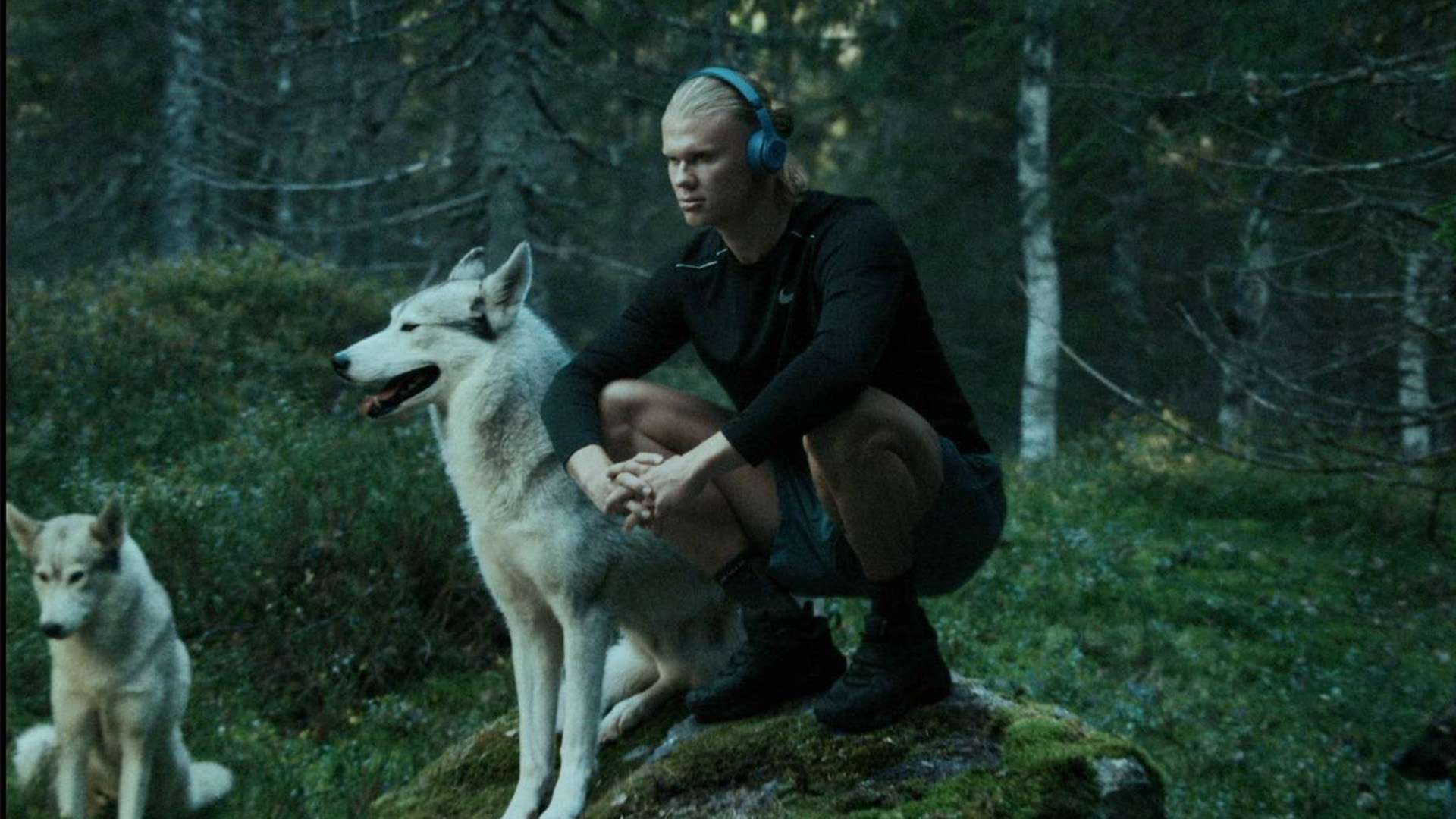 经展现出不 经展现出不